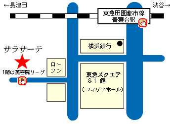 バイオリン ヴァイオリン ヴィオラ チェロ 販売 専門店 店舗情報 アクセス サラサーテ