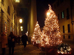 クリスマスツリー（クレモナ、イタリア）